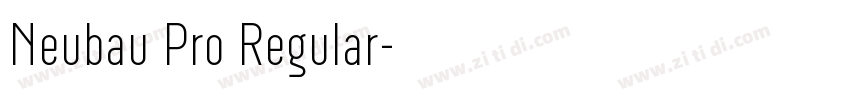 Neubau Pro Regular字体转换